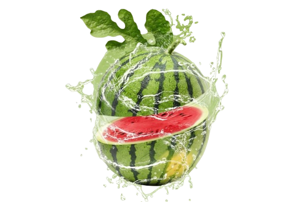 Fresh Melon Handmade Shop
